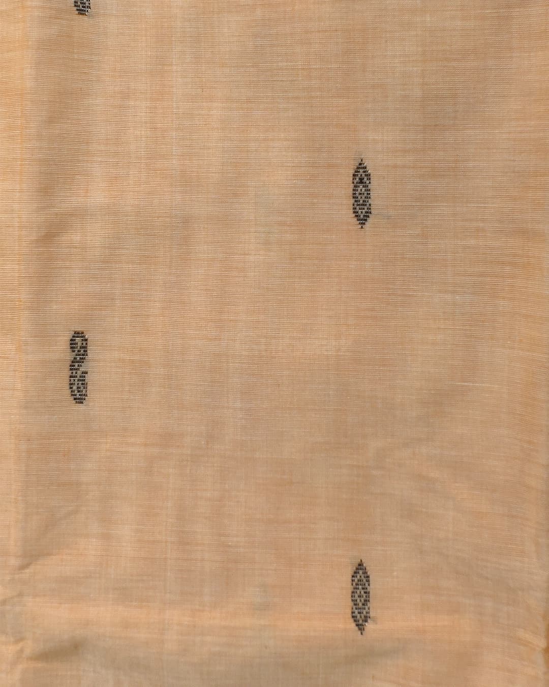 Beige Chettinadu Cotton Saree with Zari Temple Border alternate view